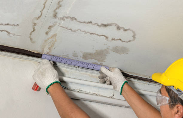 Reliable Mold Remediation contractor in Saint Louis, MI by Local Water Damage Repair